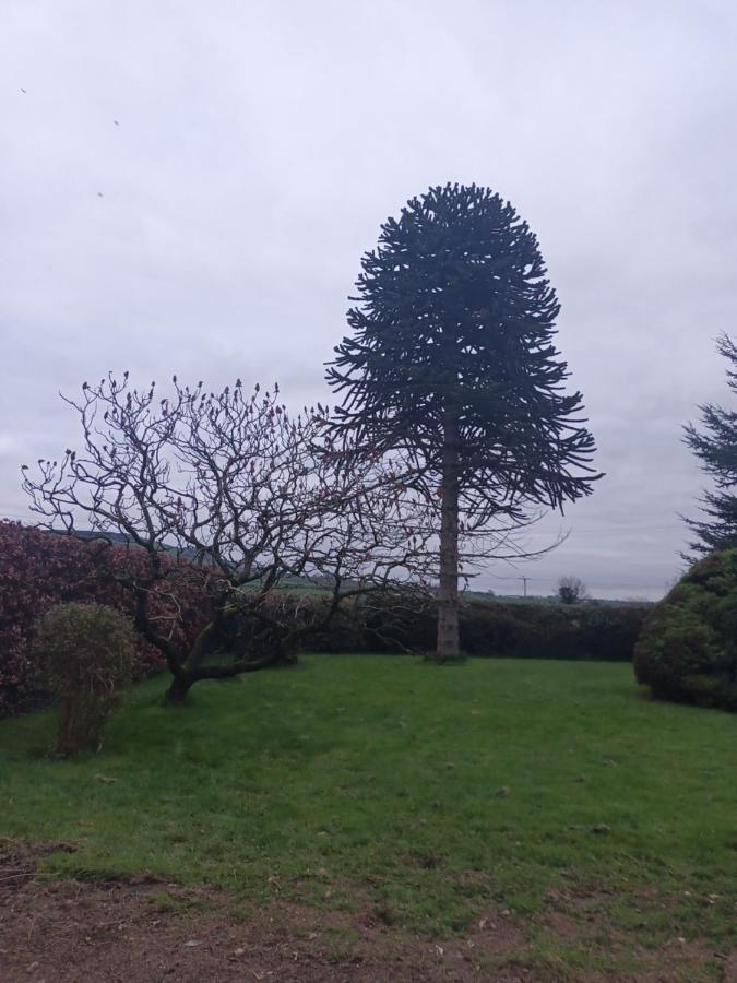 Drumgauty Cottage Strabane Exterior photo